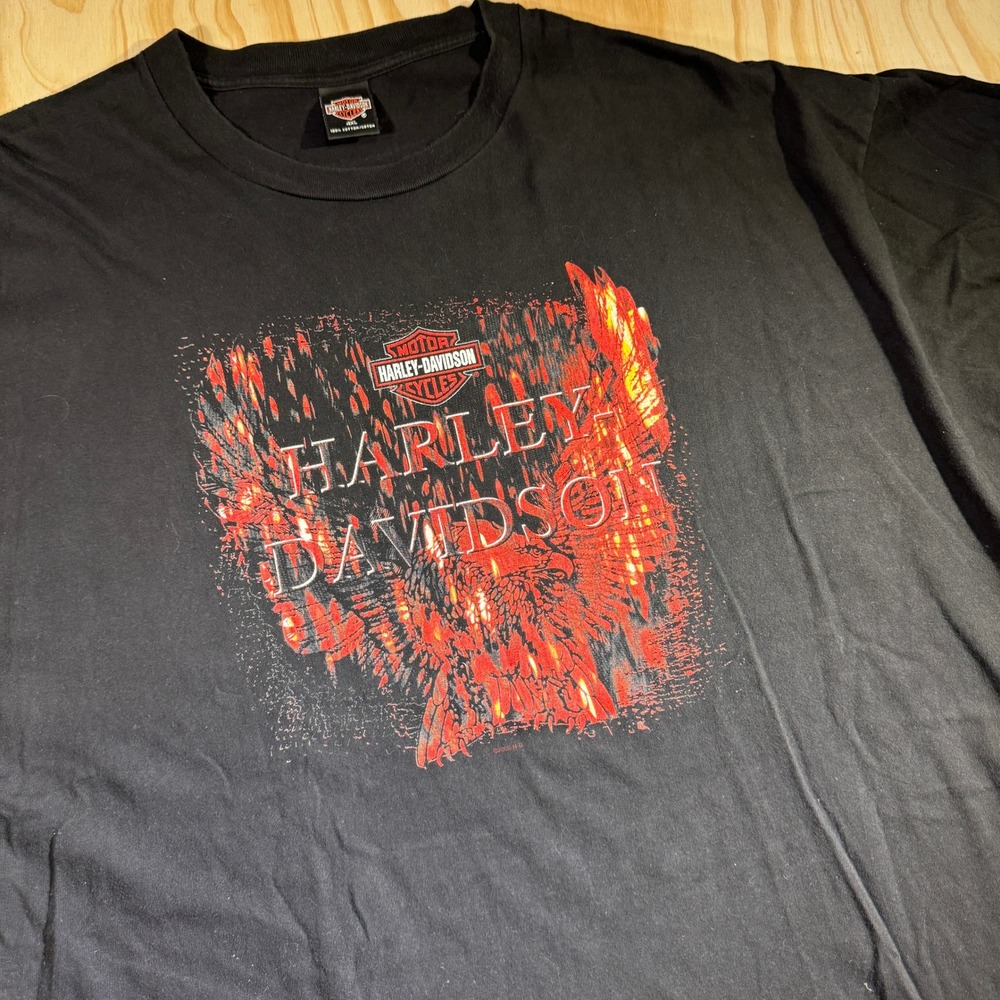 Harley-Davidson Men's Indy West Plainfield Indiana Flame Graphic Tee Black 4XL